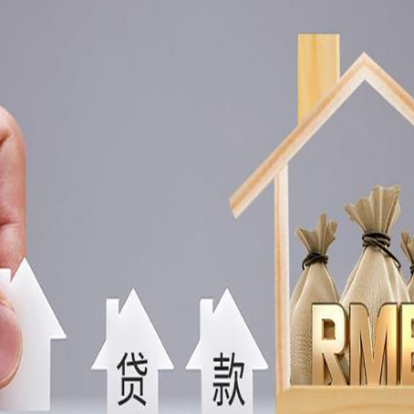 林口贷款中介公司新渝启服怎么样